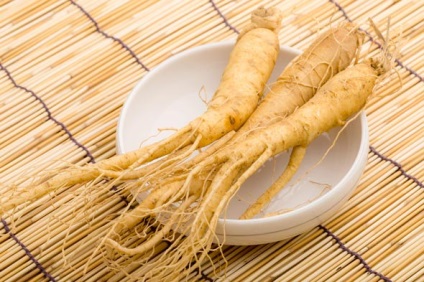 Ginseng proprietăți utile și contraindicații pentru femei și bărbați, în cazul în care Rusia este în creștere Foto