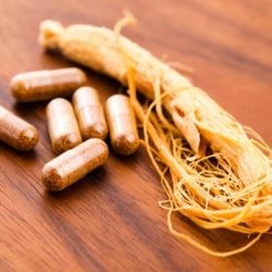 Ginseng proprietăți utile și contraindicații pentru femei și bărbați, în cazul în care Rusia este în creștere Foto