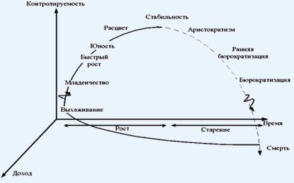 Ciclul de viață al organizației - etapele de creștere (partea 1)