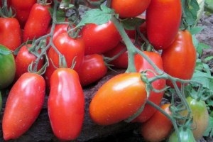 2 Rețetă unică pentru decaparea tomatelor în grabă