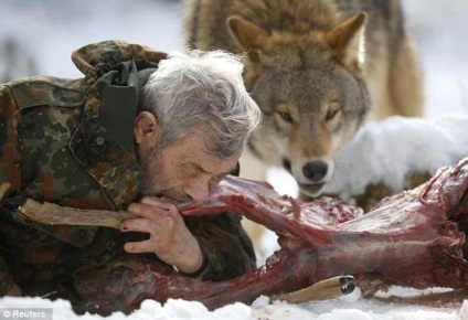 79 de ani, germanul verner freund, a devenit liderul pachetului de lupi 15 fotografii