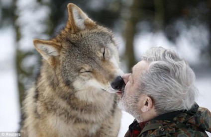 79 de ani, germanul verner freund, a devenit liderul pachetului de lupi 15 fotografii