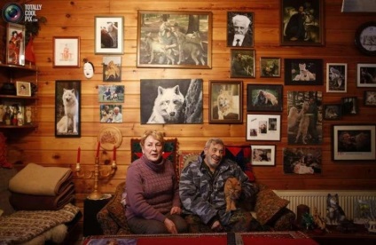 79 de ani, germanul verner freund, a devenit liderul pachetului de lupi 15 fotografii