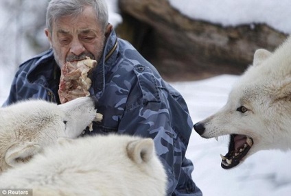 79 de ani, germanul verner freund, a devenit liderul pachetului de lupi 15 fotografii