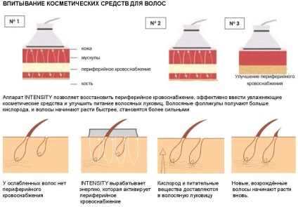 Aparat pentru cresterea si restabilirea parului