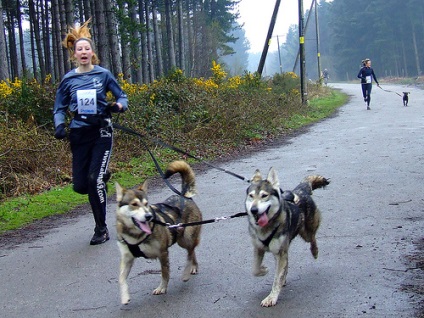 Futás egy kutyával - test és lélek, svájci hírek oroszul