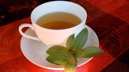 Biologie, despre ceai, utile și dăunătoare - Știință știri despre