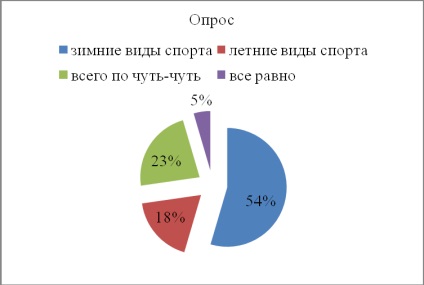 Plan de afaceri pentru un magazin de articole sportive - plan de afaceri, pagina 1