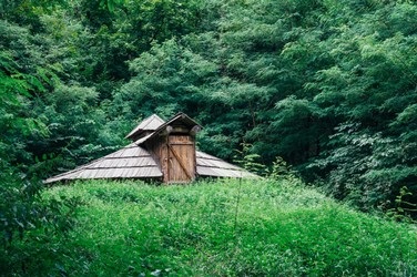 Ce să faci dacă te vei pierde în pădure, care trăiește în pădure