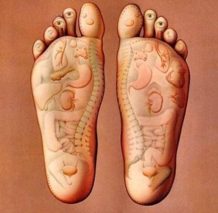 Diagnosticul bolilor de căldări pe picioare