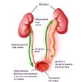 Simptome duodenogastrice de reflux, dietă și tratament