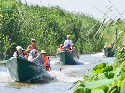 Excursii la câmpurile lotus (lotus) din Astrakhan - Centrul Astrakhan