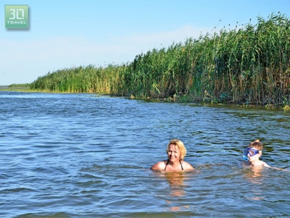 Excursii la câmpurile lotus (lotus) din Astrakhan - Centrul Astrakhan