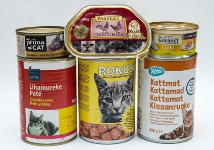 Annak vizsgálata, hogy mit tartalmaz a macskák konzervdobozban és hogyan választja ki a legjobb terméket