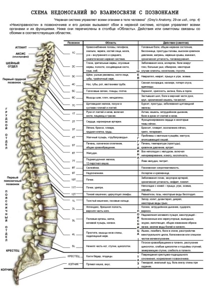 Recuperarea energetică a activității vitale a omului