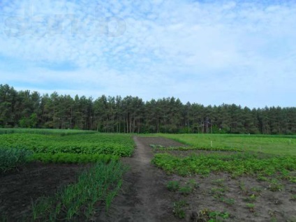 Чи є різниця між російським селом і української в чому де краще жити