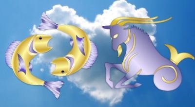 Horoscop compatibil Capricorn-femeie, pește de sex masculin