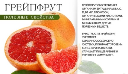 Grapefruit proprietăți utile și contraindicații de citrice