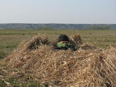 Goose Skradks - uita-te prin ochii utilizatorului