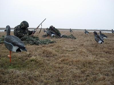 Goose Skradks - uita-te prin ochii utilizatorului