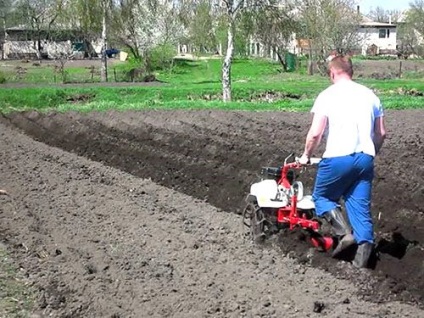 Cum se plantează cartofii motoblock cu un cartuș, video