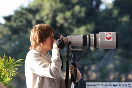 Cum să fotografiezi animalele în sălbăticie fără a cumpăra echipamente pentru zeci de mii de dolari, idei