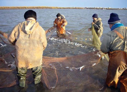 Cum să pescuiască în Yakutia