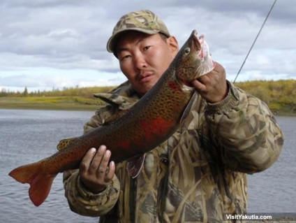 Cum să pescuiască în Yakutia