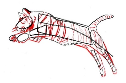 Cum de a desena un tigru în creion pas cu pas pentru copii, ls
