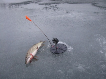 Cum de a găsi un loc răcoros pentru pescuit în timpul iernii, pescuit de iarnă, articole, totul despre pescuit