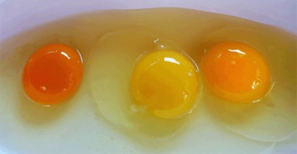 Ce culoare ar trebui să fie gălbenușurile de ou - cele mai bune povești din viața ta