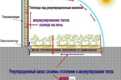 Cum să construiți o seră cu încălzire cu propriile mâini în mod corect