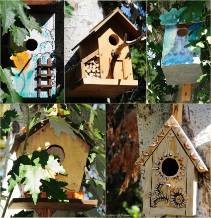 Cum sa faci si sa atarzi un birdhouse, colorat