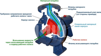 Cum funcționează pompa și proiectarea pompei centrifuge