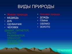 Cum este organizată fauna sălbatică - un director științific