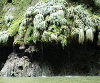 Canyon del sumidero