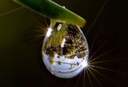 Droplete - momente