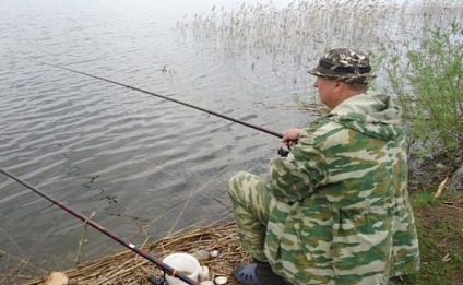 Carp a început să trăiască! Cum să găsiți un loc răcoros