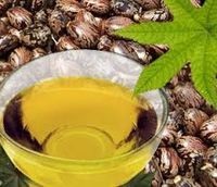 Ricinusolaj (ricinusolaj) Castor Oil