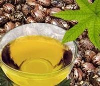 Castor Oil