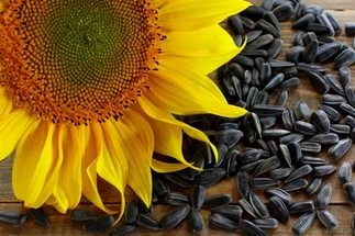 De ce visele de semințe de floarea-soarelui și valorile de zi cu zi