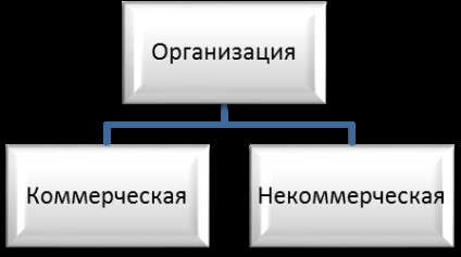 Organizația comercială - principala legătură a economiei