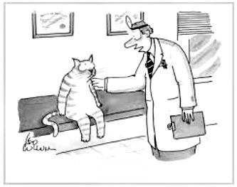O pisica intr-o clinica veterinara - cum sa-ti ajuti pisica