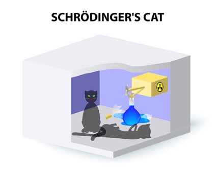 Schrödinger macskája