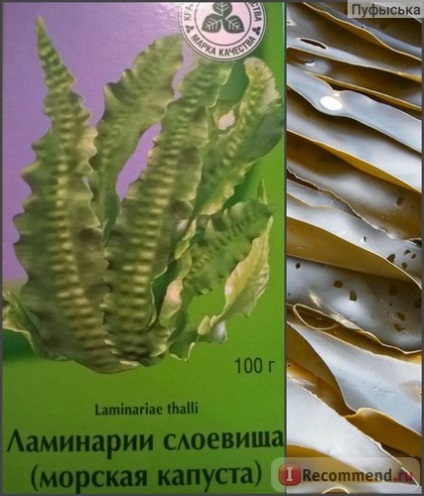 Krasnogorskleksredstva Laminaria thallus - 