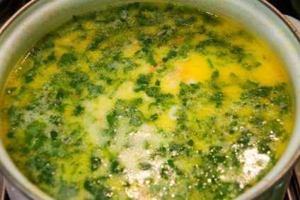 Supă de pui cu brânză topită - rețete simple