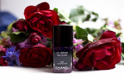 Nail polish chanel # 683 excursie răsărit - frumusețe dăunătoare - ann sokolova