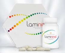 Laminina (laminina), factorul de viață