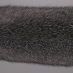 Fox albastru îngheț, blufrost, lisope, mk trade-nn - vânzarea de blănuri naturale și piele naturală în