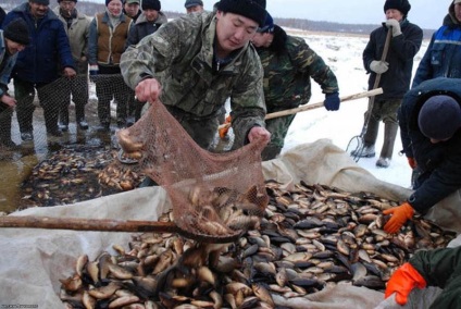 Cel mai bun pescuit pe râurile din Yakutsk este republica Sakha